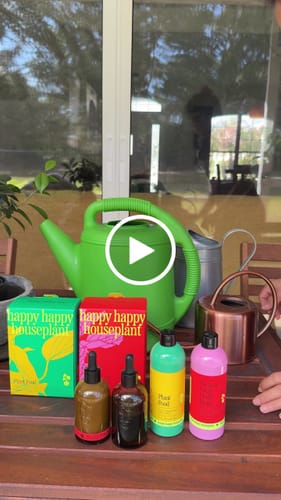 Customer video review of Fungus Gnat Death Drops