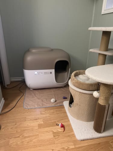 Customer photo review of Litter Box Premium Set + Clumping Clay Litter x2