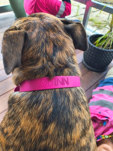 Customer photo review of Mulberry Collar