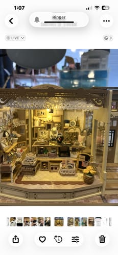 Customer photo review of Vitrine’s Tale DIY Miniature House Kit