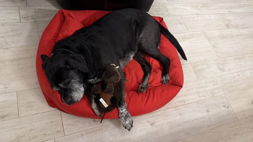 Customer photo review of Se hai richiesto il ricamo questo è il suo costo (NON RIMUOVERE)