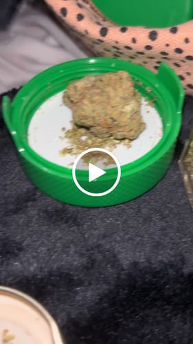 Customer video review of Super Menthol Haze THCa Flower 3.5g 🔴 Sativa
