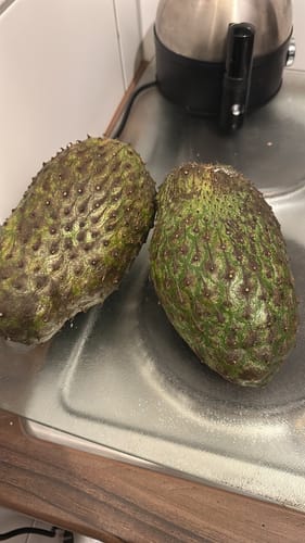 Kunde zeigt zwei reife Baby-Guanabana-Früchte in einer Edelstahlspüle.