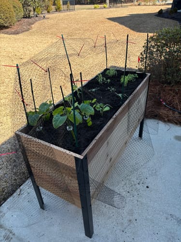Customer photo review of 18" x 48" Raised Garden Bed - 30" TALL / Signature