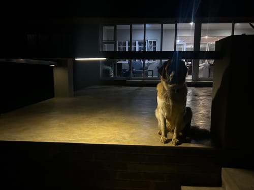 Customer photo review of Solar Wall Light with Motion Sensor