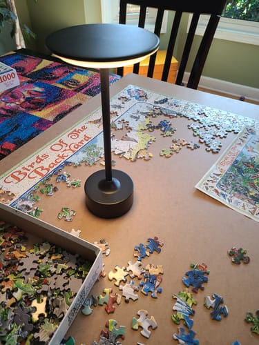 Customer photo review of The EMBAR Game Lamp