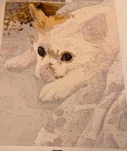 Customer photo review of Custom Paint By Numbers - Personalized Pet Portraits