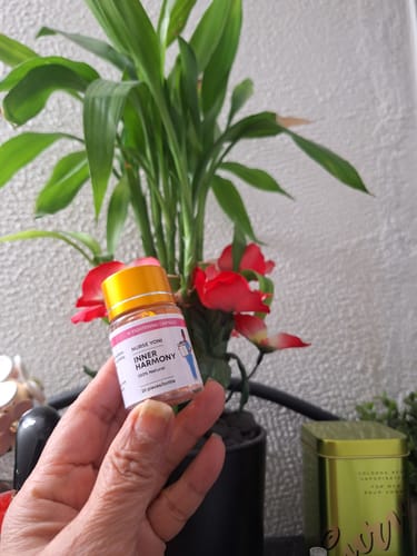 Customer photo review of Inner Harmony