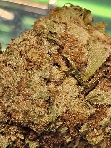 Customer photo review of Raspberry Kush - 28 Grams - Indica