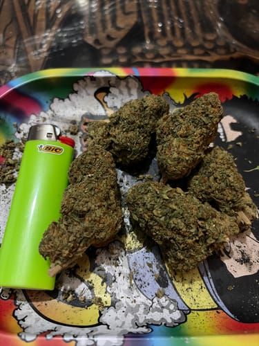 Customer photo review of Shipping Protection by Route