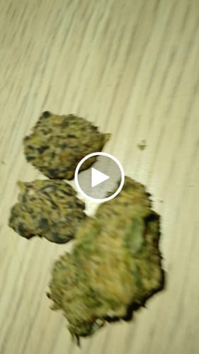 Customer video review of Tropicana Marker Exotic THCa Flower 10g Jar Hybrid