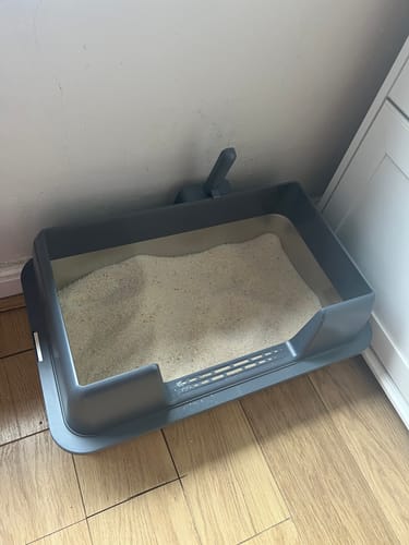 Customer photo review of 1 Month Supply – 2 Cat