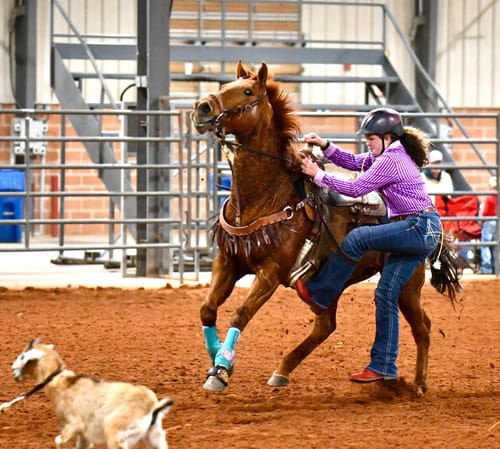 Customer photo review of OptiWize Collagen +Plus Horse Joint Supplement