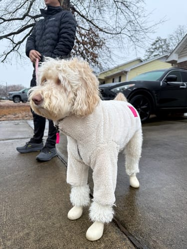 Customer photo review of Monkey Fleece Jacket