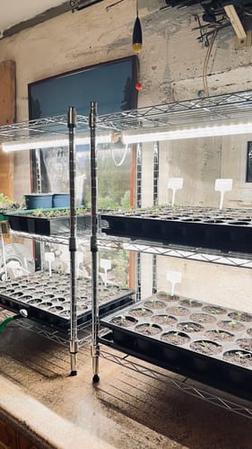 Customer photo review of Pflanzenlampe mit Vollspektrum LED "FLORABOOSTER 200" vers. Längen