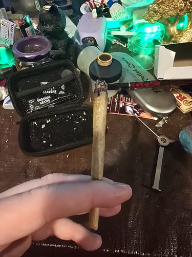 Customer photo review of Candy Runtz - Minis - 28 Grams - Hybrid