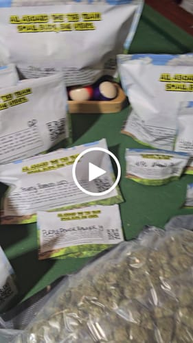 Customer video review of Bulk Indoor THCA Smalls