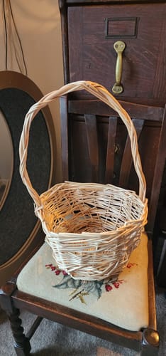 Customer photo review of The Shopping Basket Course and Kit - FREE STAR!