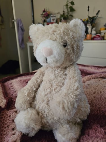 Customer photo review of Pickles The Weighted Sensory Cat