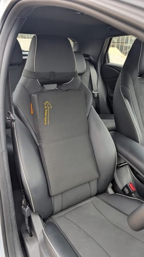 Customer photo review of Giraffe Cushion