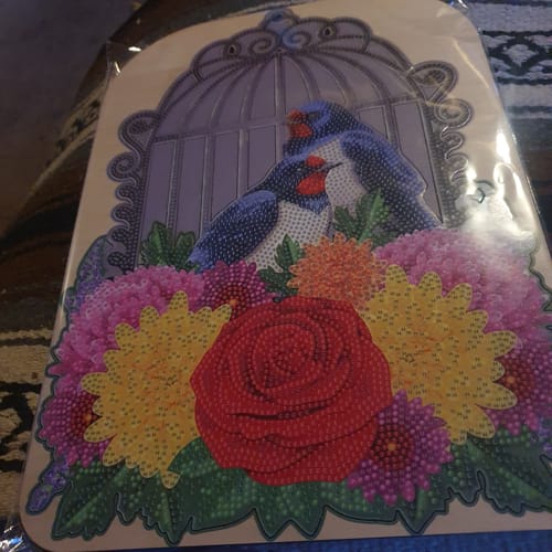 Customer's completed "Birdcage" Crystal Art kit in its packaging, showing colorful birds and flowers.
