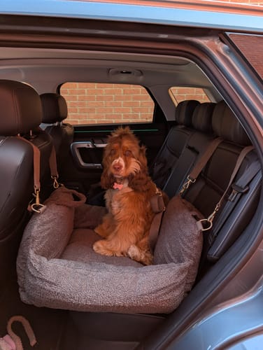 Customer photo review of Chocolate | The Cosy Car Seat