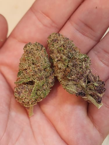 Customer photo review of Cheap THCA Smalls Quarter Pound