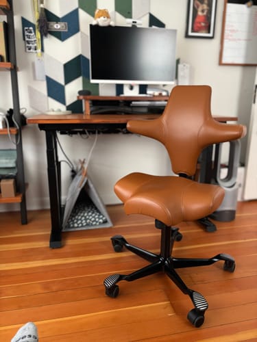 Customer photo review of Capisco Saddle