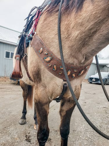 Customer photo review of Custom Tripping Collar Design
