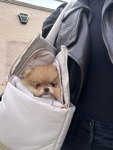 Customer photo review of Hazelnut┃The Puffer Carrier