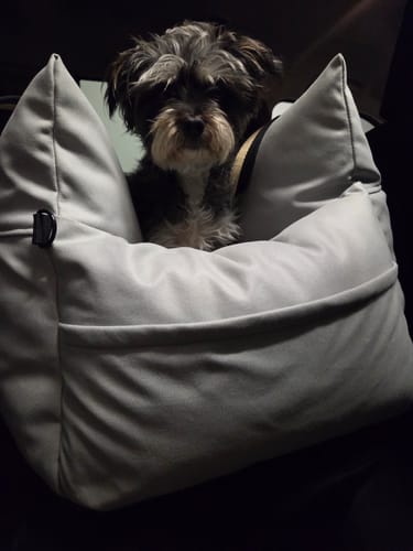 Customer photo review of Boujee Booster