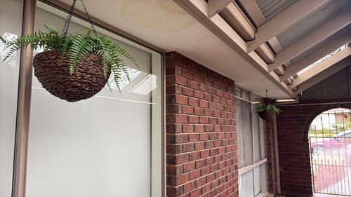 Customer photo review of Large Artificial Hanging Basket (Fern Hanging Basket)
