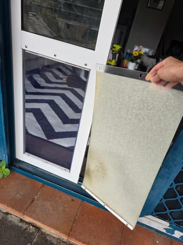 Customer photo review of Replacement Pet flap V3.0