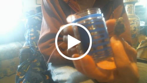 Customer video review of Wicked Alien Cookies THCa Flower Exotic Indica 10g