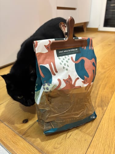 Le chat noir d'un client à côté du sac de Croquettes au Saumon qu'il a percé.