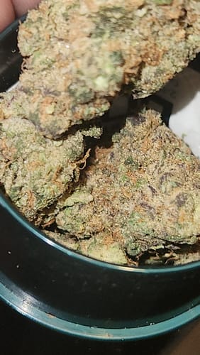 Customer photo review of Paris OG