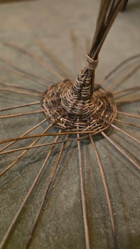 Customer photo review of The Willow Bird Feeder Course and Kit