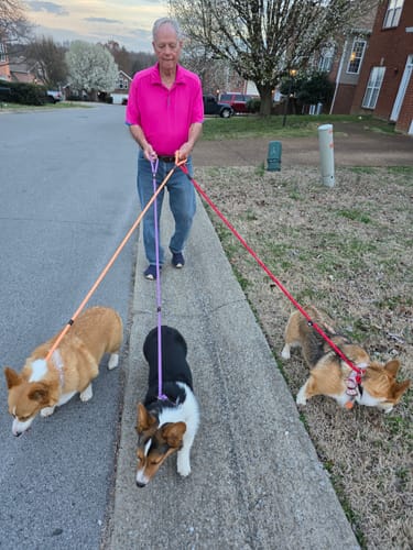 Customer photo review of FIDA Durable Slip Lead