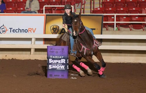 Customer photo review of OptiWize Collagen +Plus Horse Joint Supplement