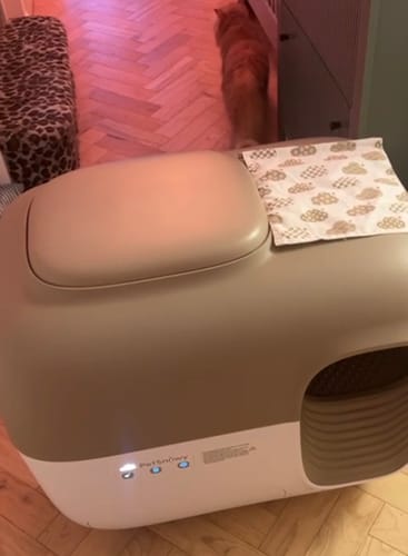 Customer photo review of Self-Cleaning Litter Box