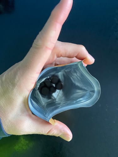 Customer photo review of Mushroom Gummies