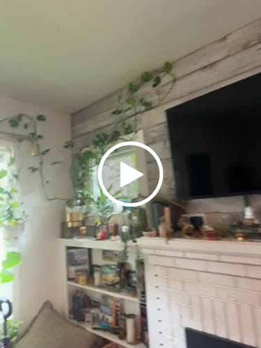 Customer video review of Plant Food