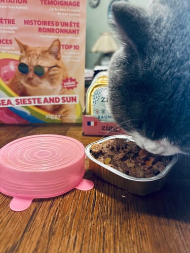 Le chat d'un client se régale avec la Pâtée au Poulet dans sa barquette sur une table en bois.
