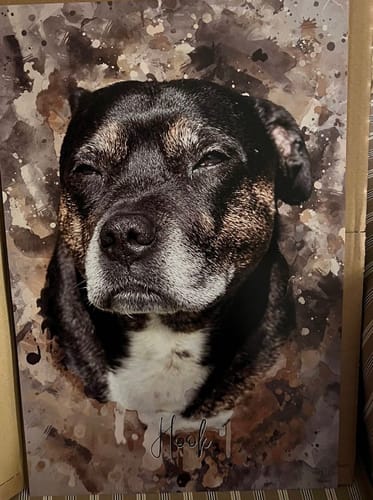 Customer photo review of Aquarell Pawtrait