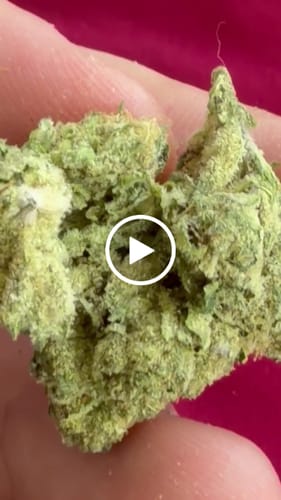 Customer video review of Lemon Gas Mask Light Assist THCA