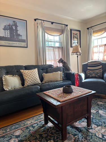 Customer's living room showing a light ruffled pillow and other pillows on a dark sofa. A small dog sits on the couch.