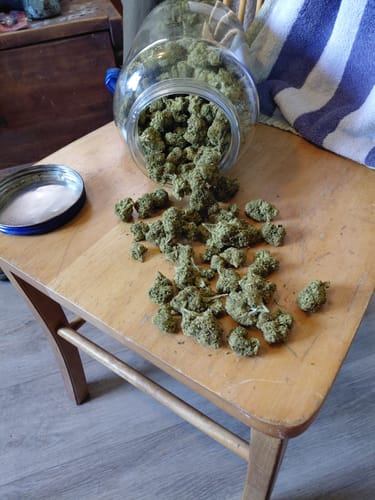 Customer photo review of Cheap THCA Flower Pound (450g)