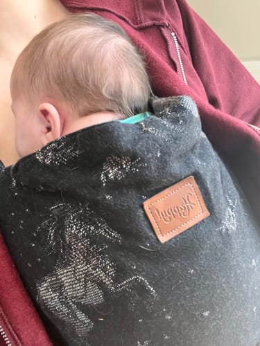Customer photo review of Happy Baby Original Baby Carrier