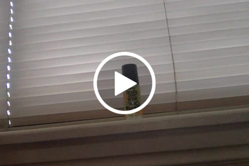 Customer video review of Deadly Dole Whip Perfume Oil