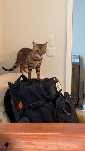 Customer photo review of ALPHA (45L)